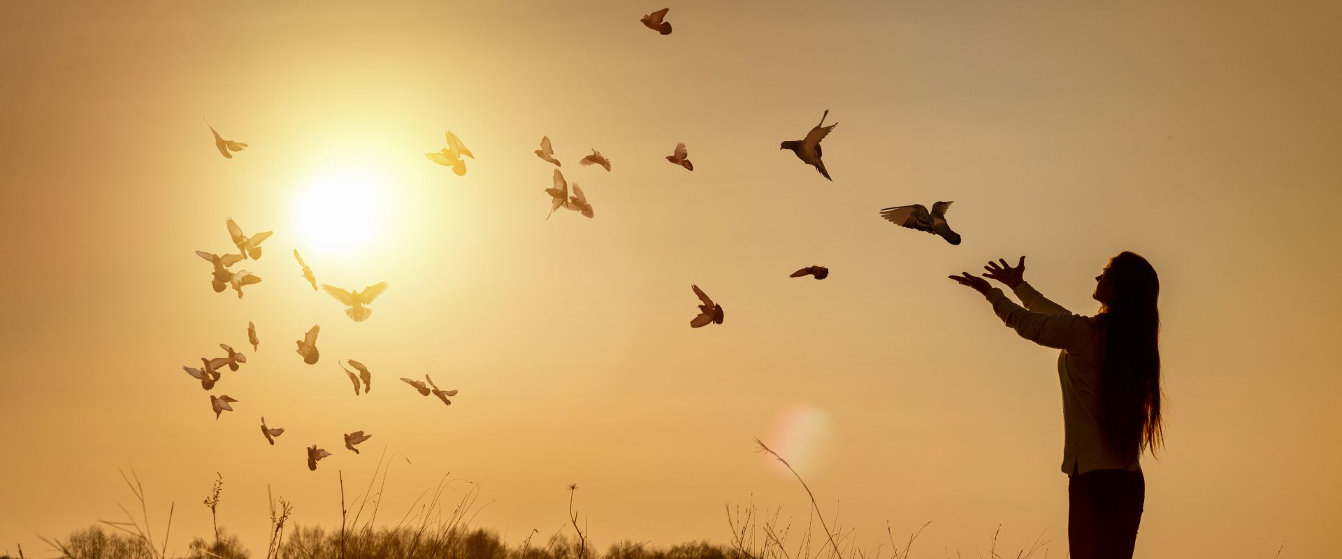 Grace Hope Treatment and Recovery Centers Inc